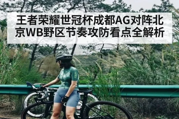 王者荣耀世冠杯成都AG对阵北京WB野区节奏攻防看点全解析