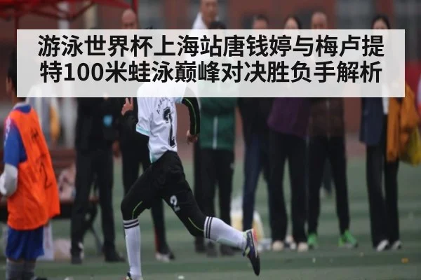 游泳世界杯上海站唐钱婷与梅卢提特100米蛙泳巅峰对决胜负手解析